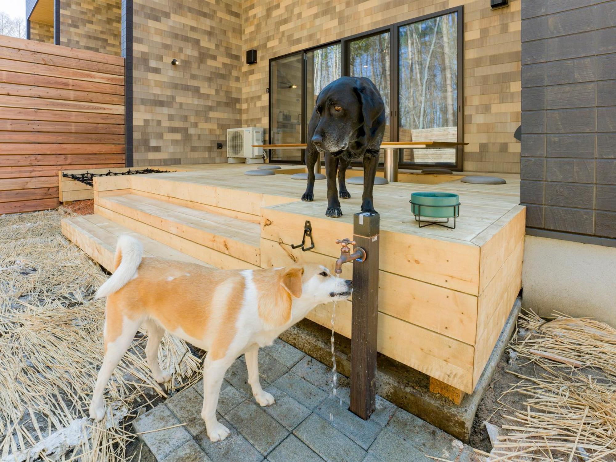 Rakuten Stay Villa Fujikawaguchiko Forest Exteriör bild