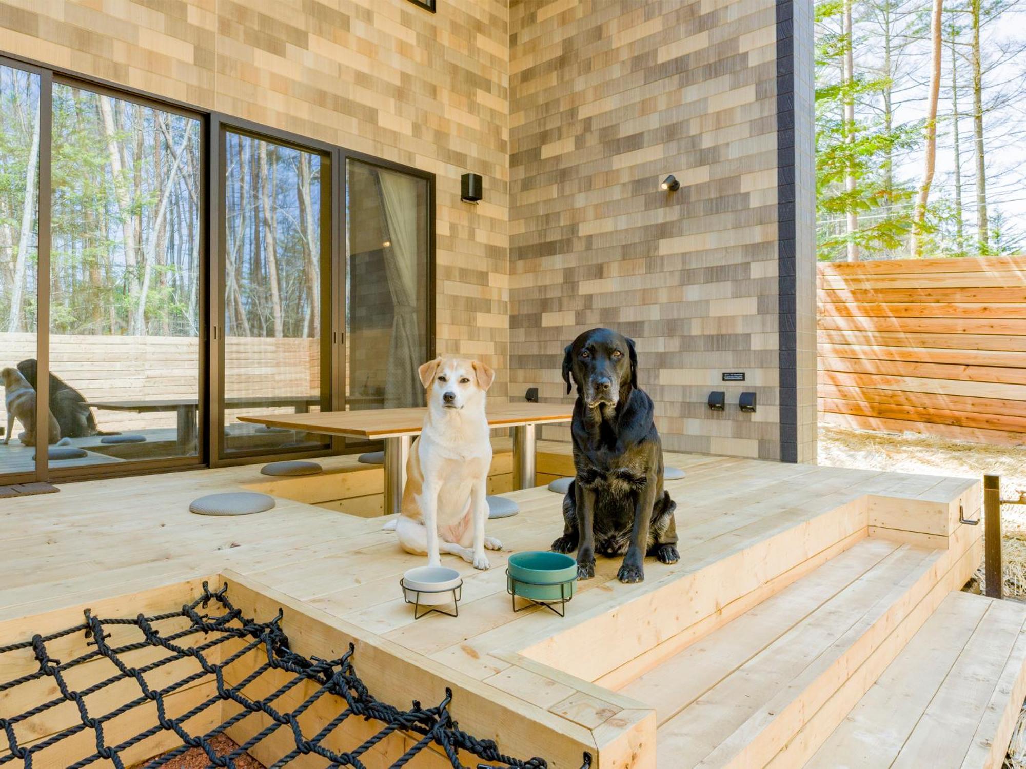 Rakuten Stay Villa Fujikawaguchiko Forest Exteriör bild